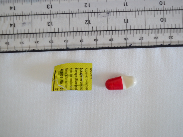 W076068