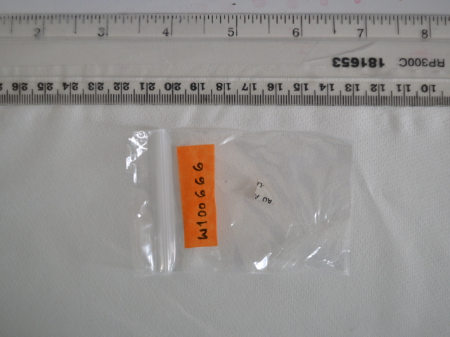 W100666