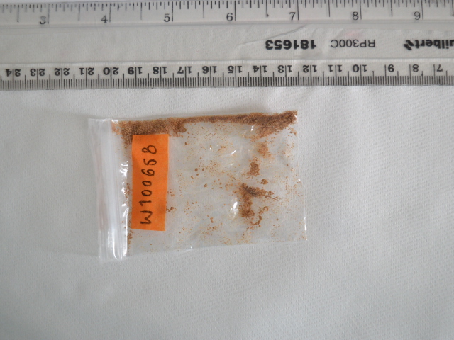 W100658
