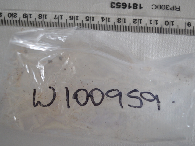 W100959