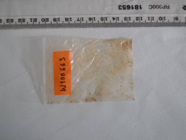 W100663