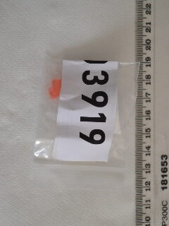 W103919