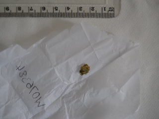W076384