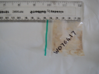 W076417